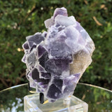 736g 13x11x6cm Lavander Purple Fluorite  from China