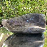 836g 15x7x4cm Rainbow Labradorite Natural Shape from China - Locco Decor