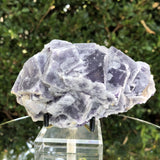 760g 13x9x7cm Lavander Purple Fluorite  from China