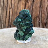 142g 7x5.5x4cm Green Shiny Malachite from Laos - Locco Decor