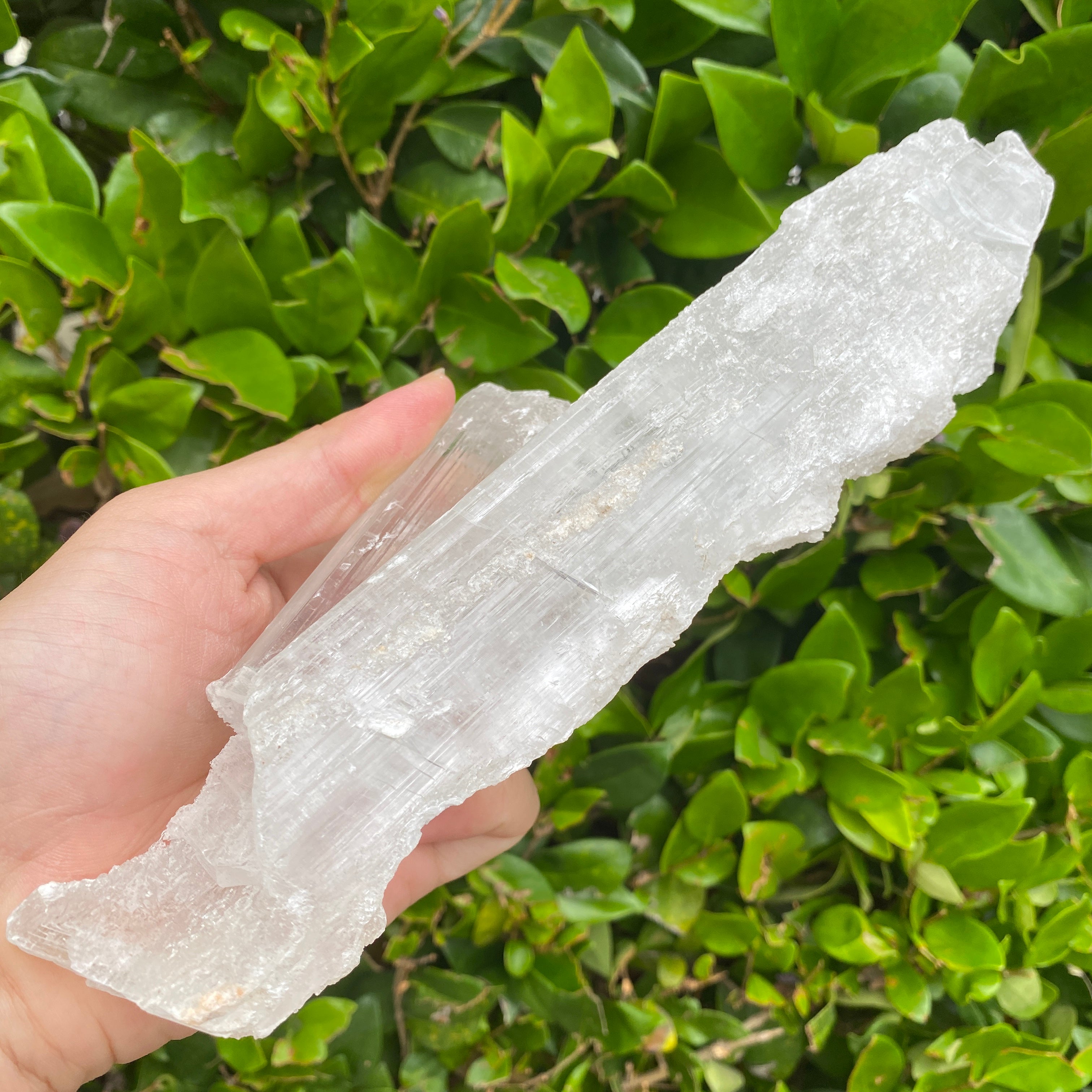602g 24x9x6cm Transparent and Clear Selenite Bar White Selenite from China