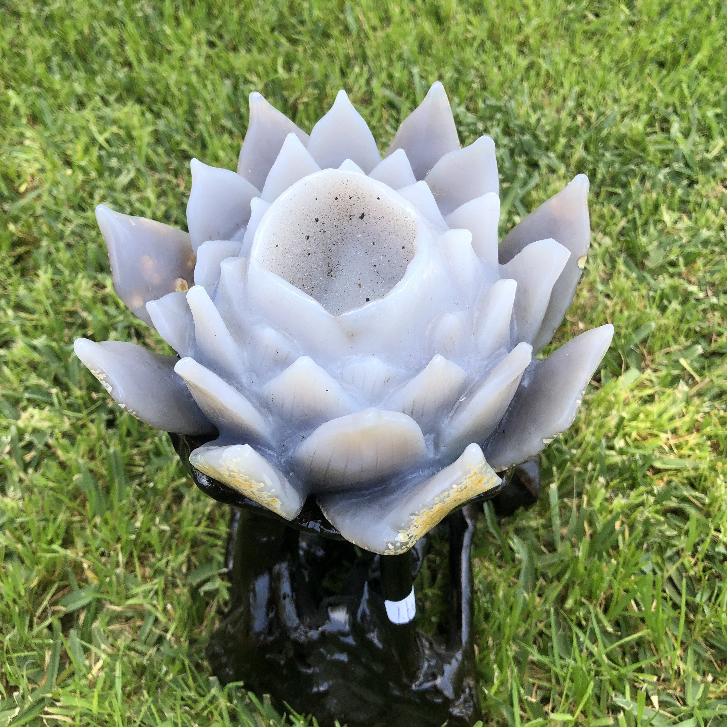 1.114kg Amazing Lotus Carving with wood base Purple Geode Lotus from Uruguay - Locco Decor