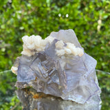 422g 10x7x7cm White Barite with  Purple Fluorite from Balochistan, Pakistan