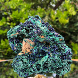 276g 10x8x6cm Shiny Blue Azurite w/ green Malachite from Sepon Mine, Laos