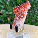 36.5g 6x5x1.5cm Shiny Red Vanadinite from Morocco