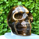 Gold Golden Tigereye Skull