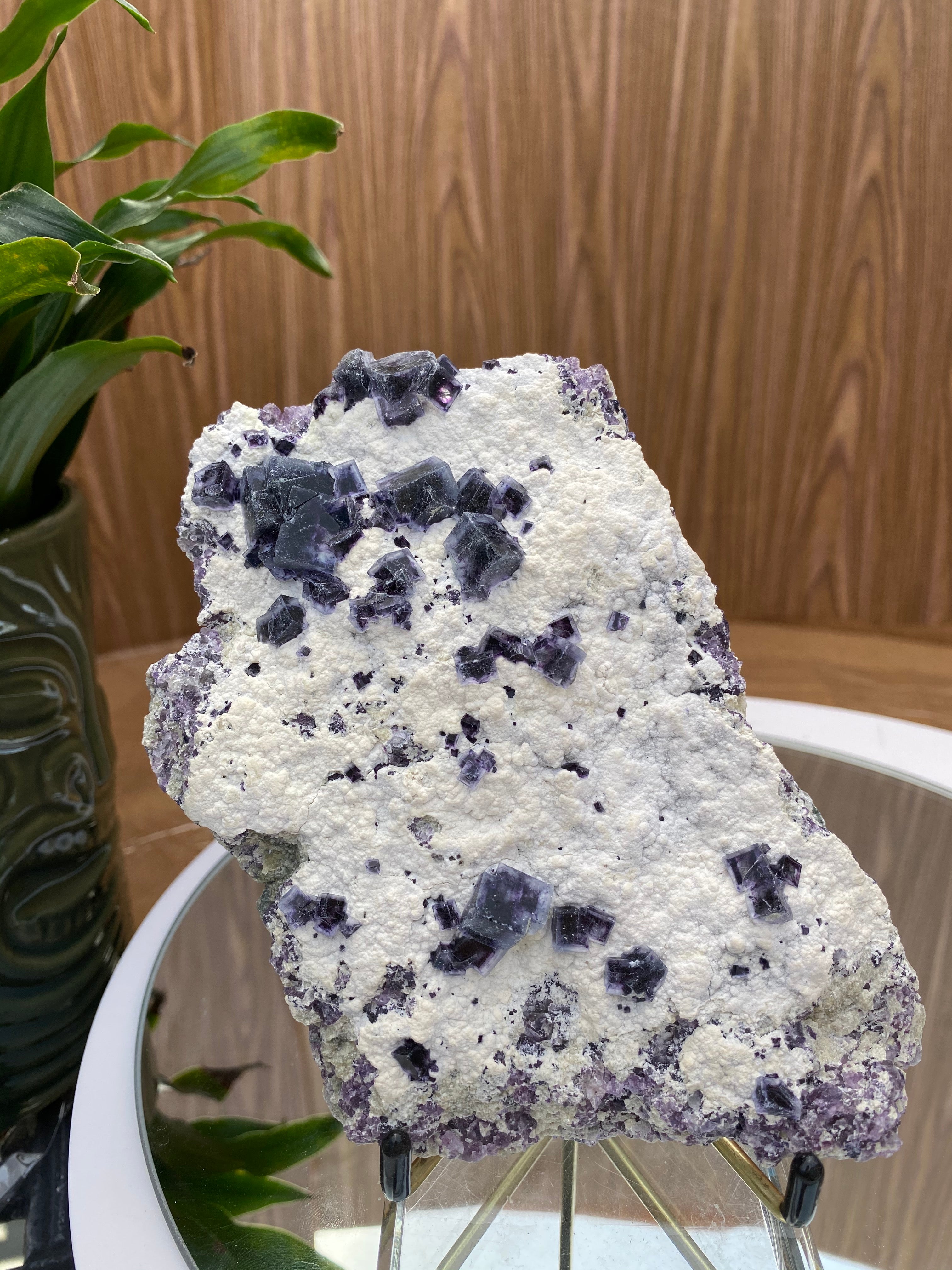450g 16x12x3cm Dots White and Purple Fluorite from Inner Mongolia, China
