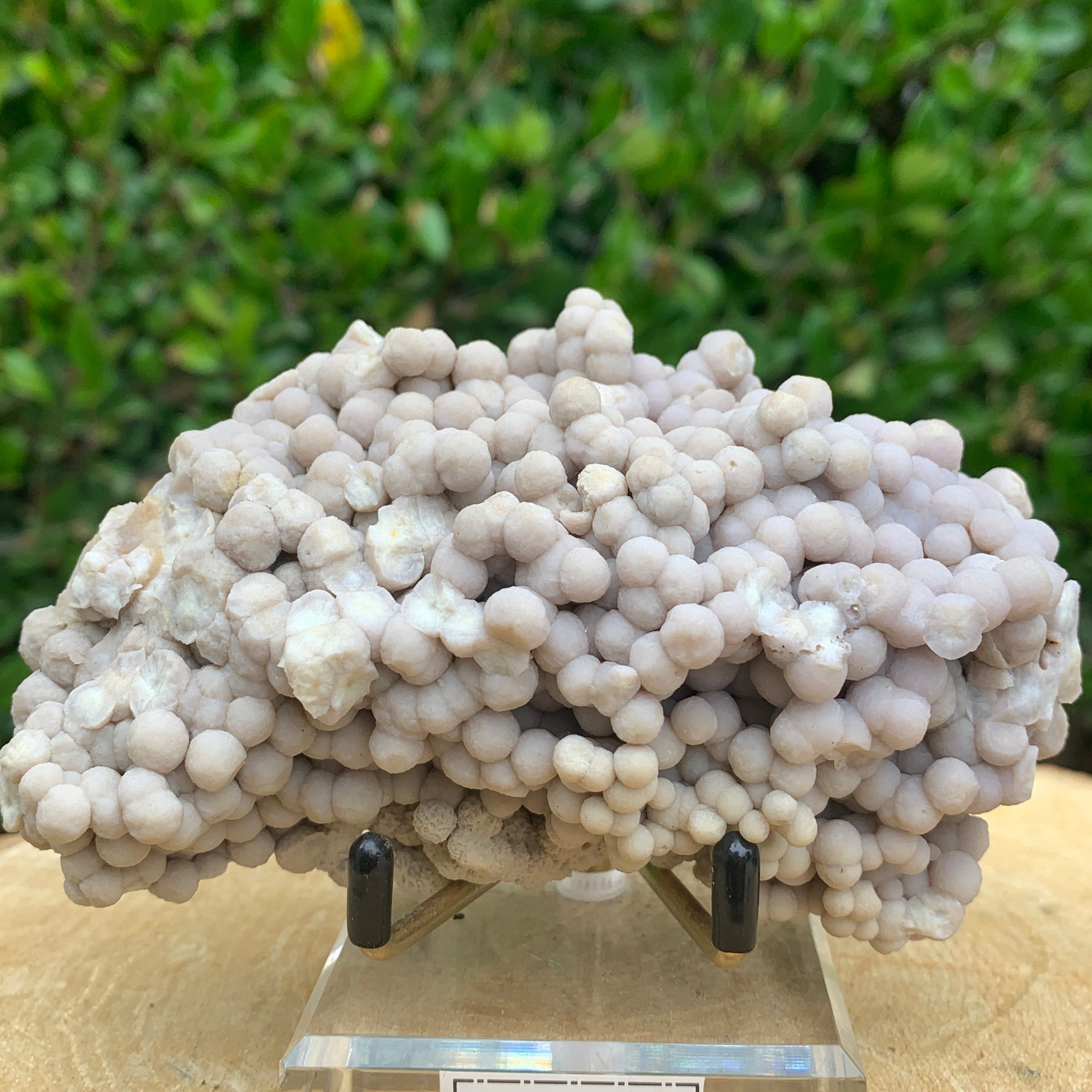 338.0g 12x8x5cm Purple Grape Agate Chalcedony from Indonesia