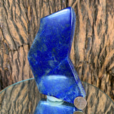 398.0g 14x7x1cm Dark Blue Lapis Lazuli Natural Shape from Afghanistan