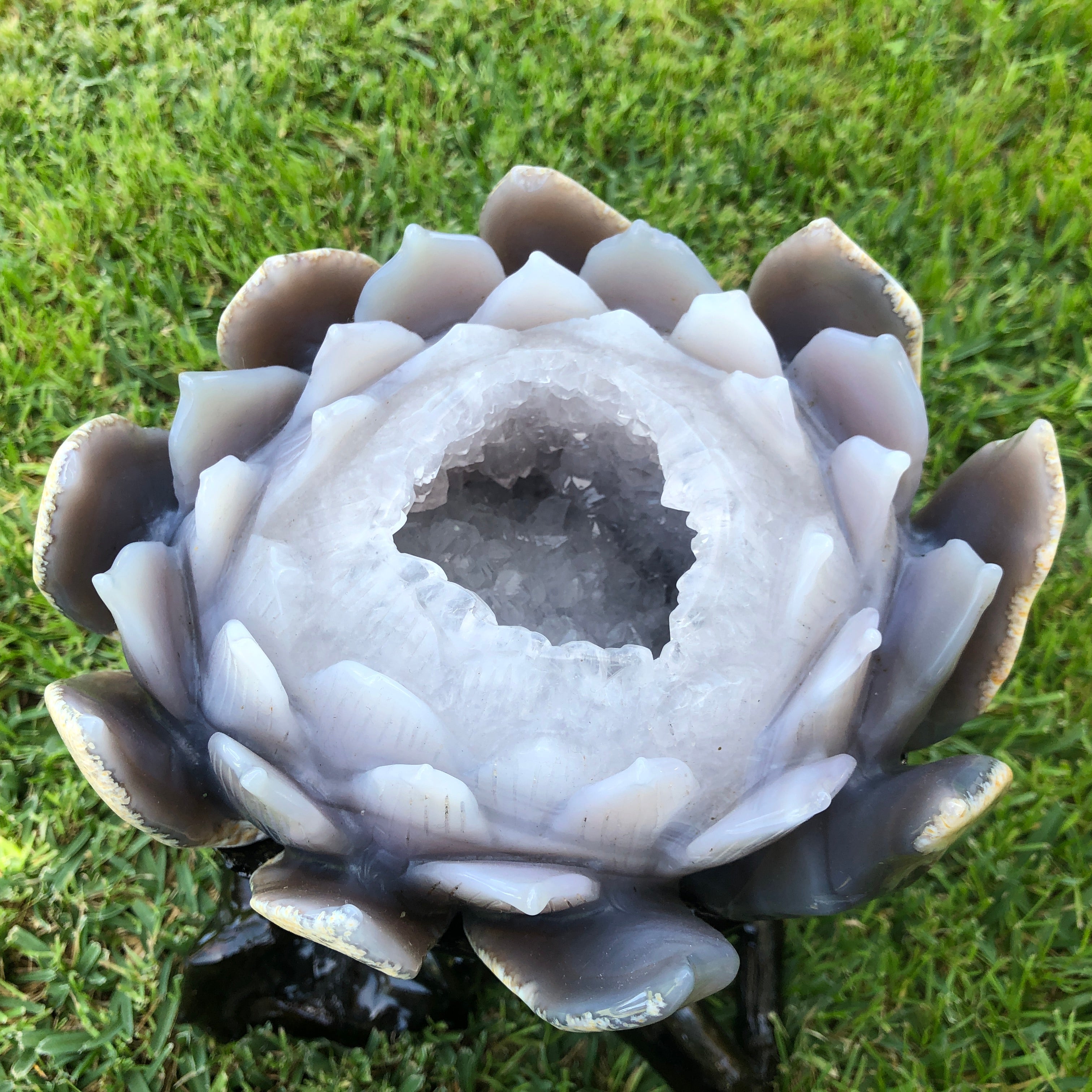 4.704kg Amazing Lotus Shape Carving with wood base Purple Agate Geode Lotus from Uruguay
