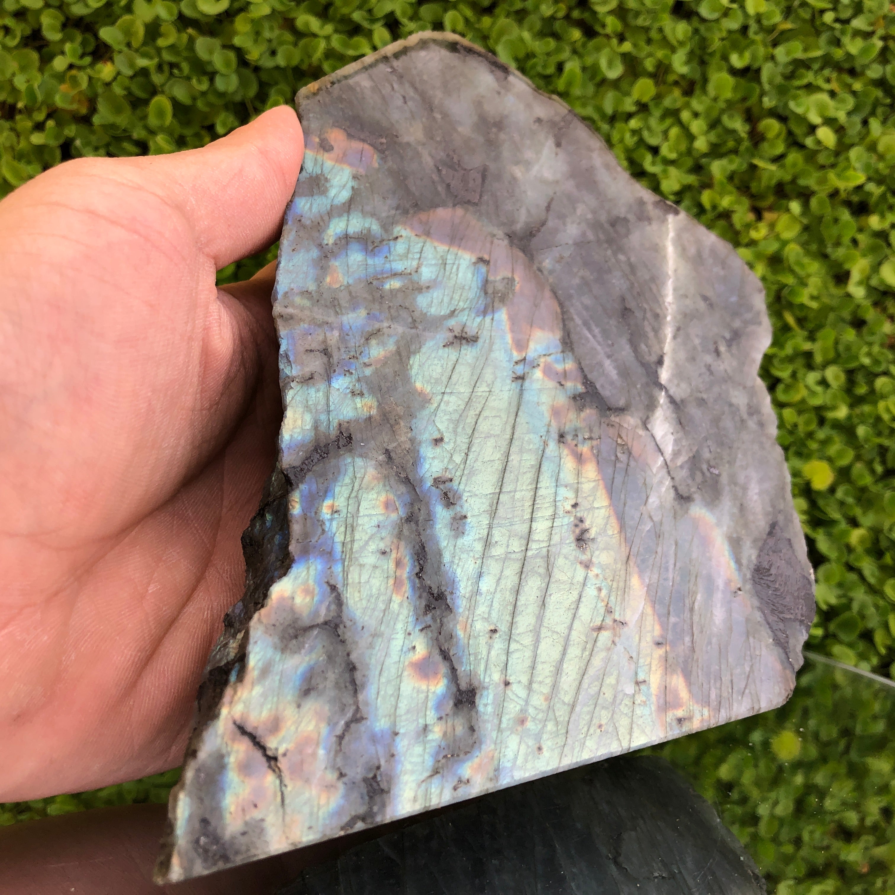 999g 16x16x4cm Rainbow Labradorite Side Polished from Mexico