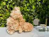 214g 10x9x5cm Orange Stalatite Stalagmite Calcite from United States