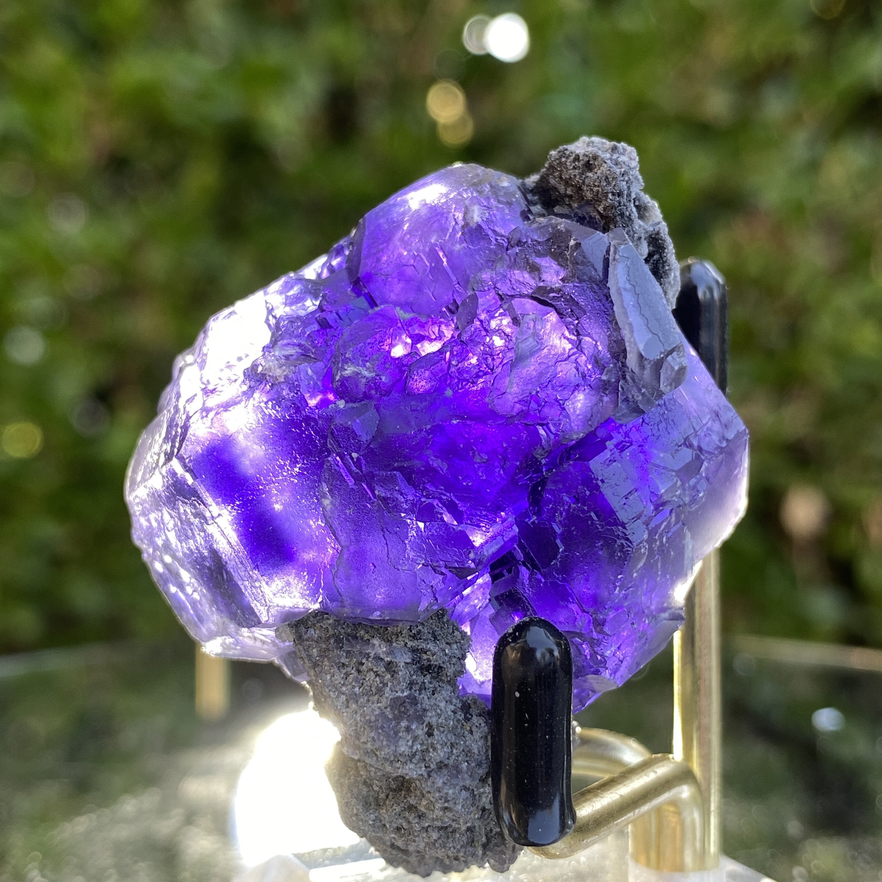 66g 5x4x4cm Purple Tanzanite Fluorite from China - Locco Decor