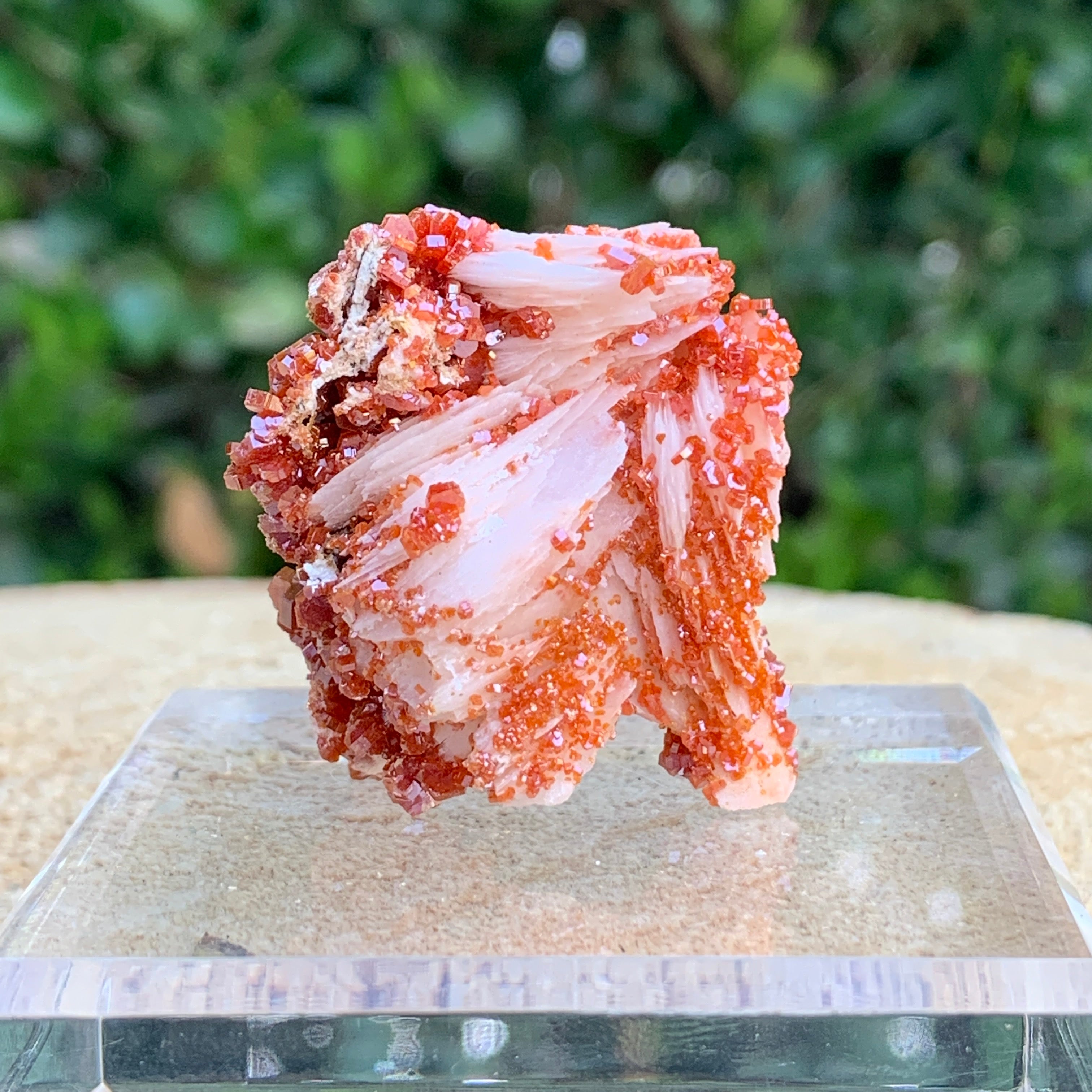 32.5g 4x2x2cm Shiny Red Vanadinite from Morocco