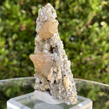 50g 9x5x3cm Orange Scheelite with Silver muscovite from China - Locco Decor