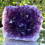 1.13kg 10x10x10cm Purple Amethyst Cluster Cut Base Grade A from Uruguay