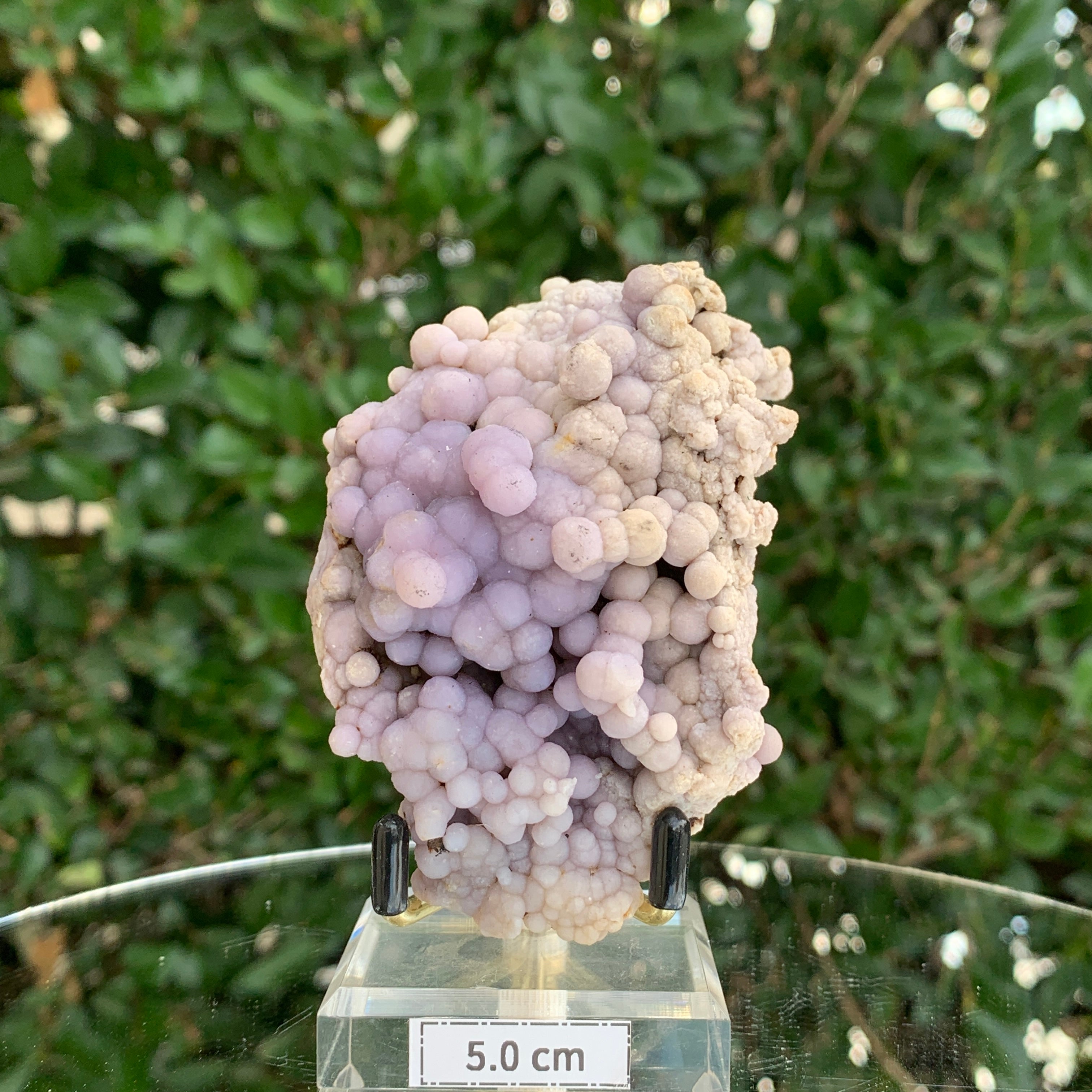 177g 8x6x4cm Purple Grape Agate Chalcedony from Indonesia