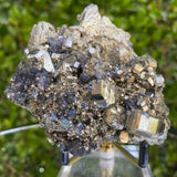 450g 8x8x6cm Silver Galena and Gold Pyrite from Peru