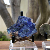 66g 1.5x1.9x0.9cm Blue Azurite from Morocco