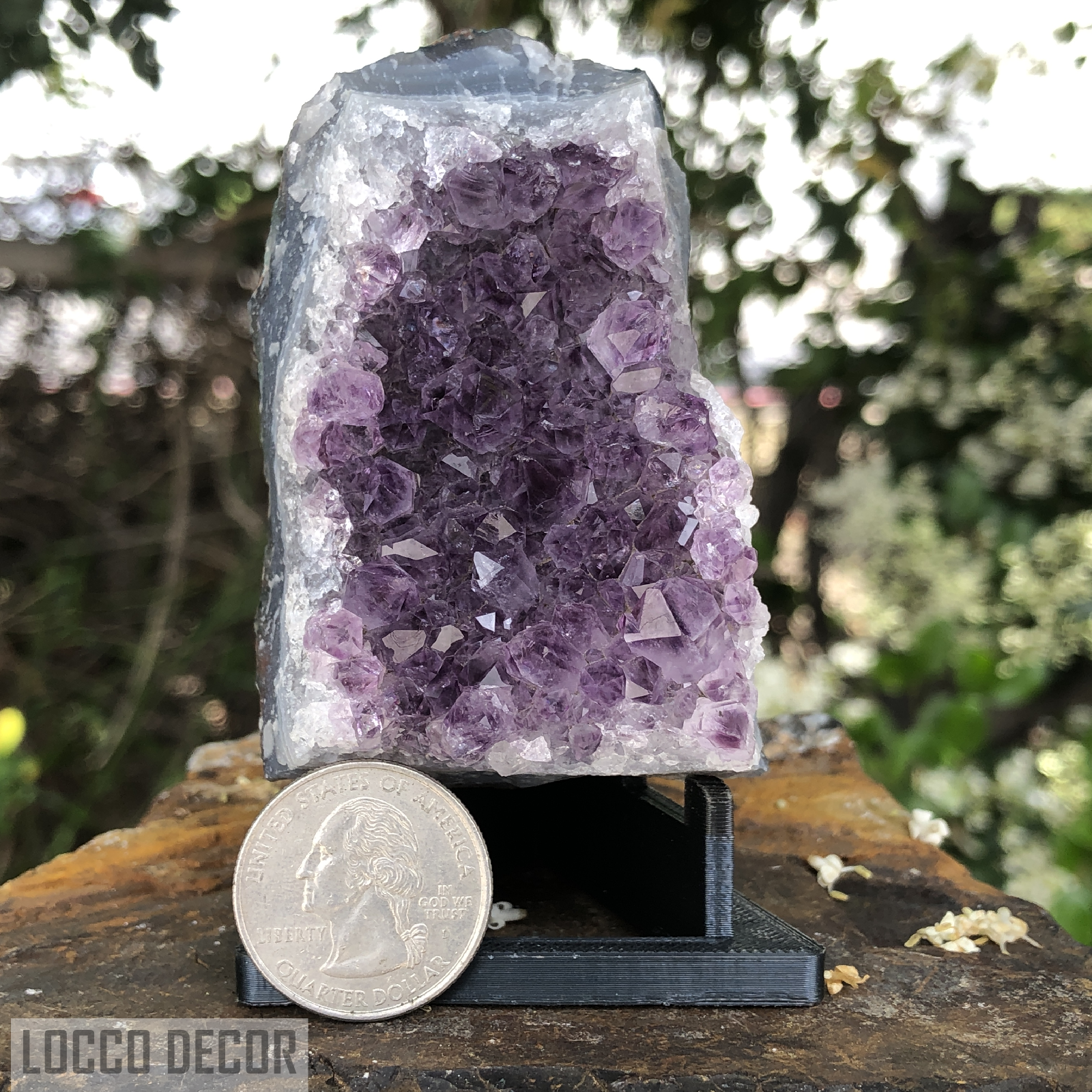176g 8x6x4cm Shiny Purple Amethyst from Uruguay