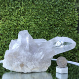 1.051kg 12x10x13cm Turtle Clear Clear Quartz from Brazil - Locco Decor