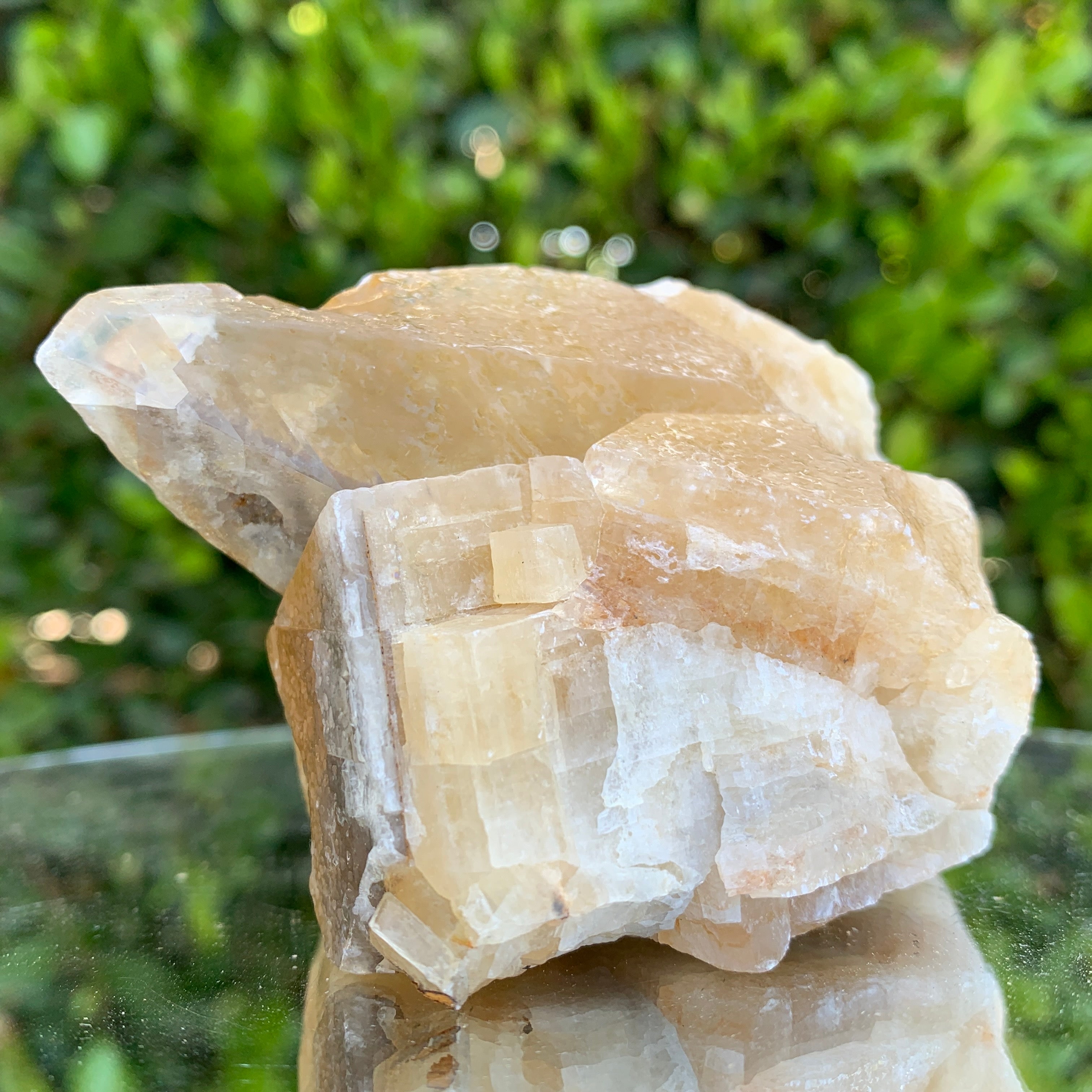 278.0g 10x6x6cm Gold Yellow Honey Calcite from China