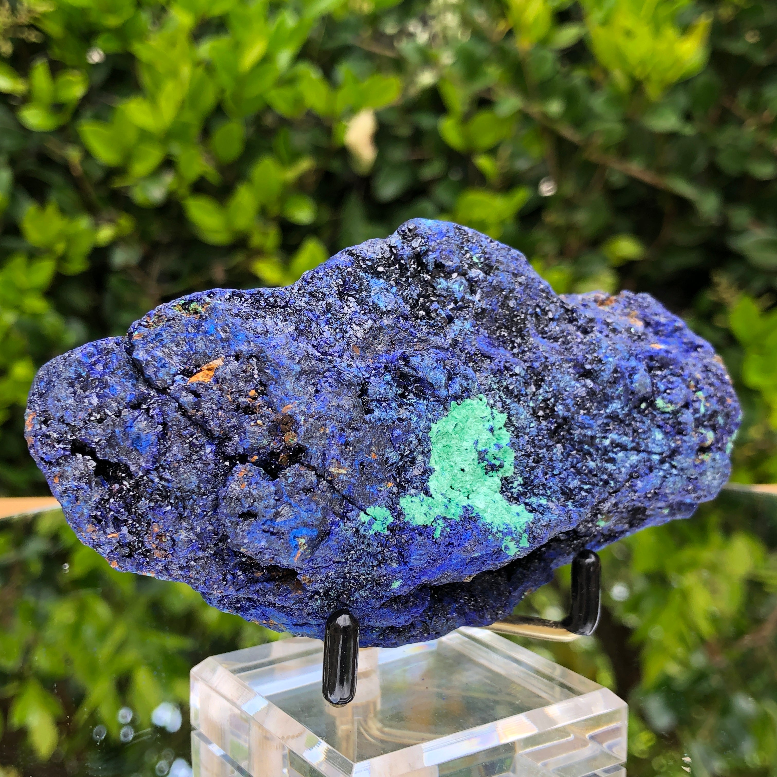 366g 12.5x6x3.7cm Shiny Blue Azurite w/ green Malachite from Sepon Mine, Laos