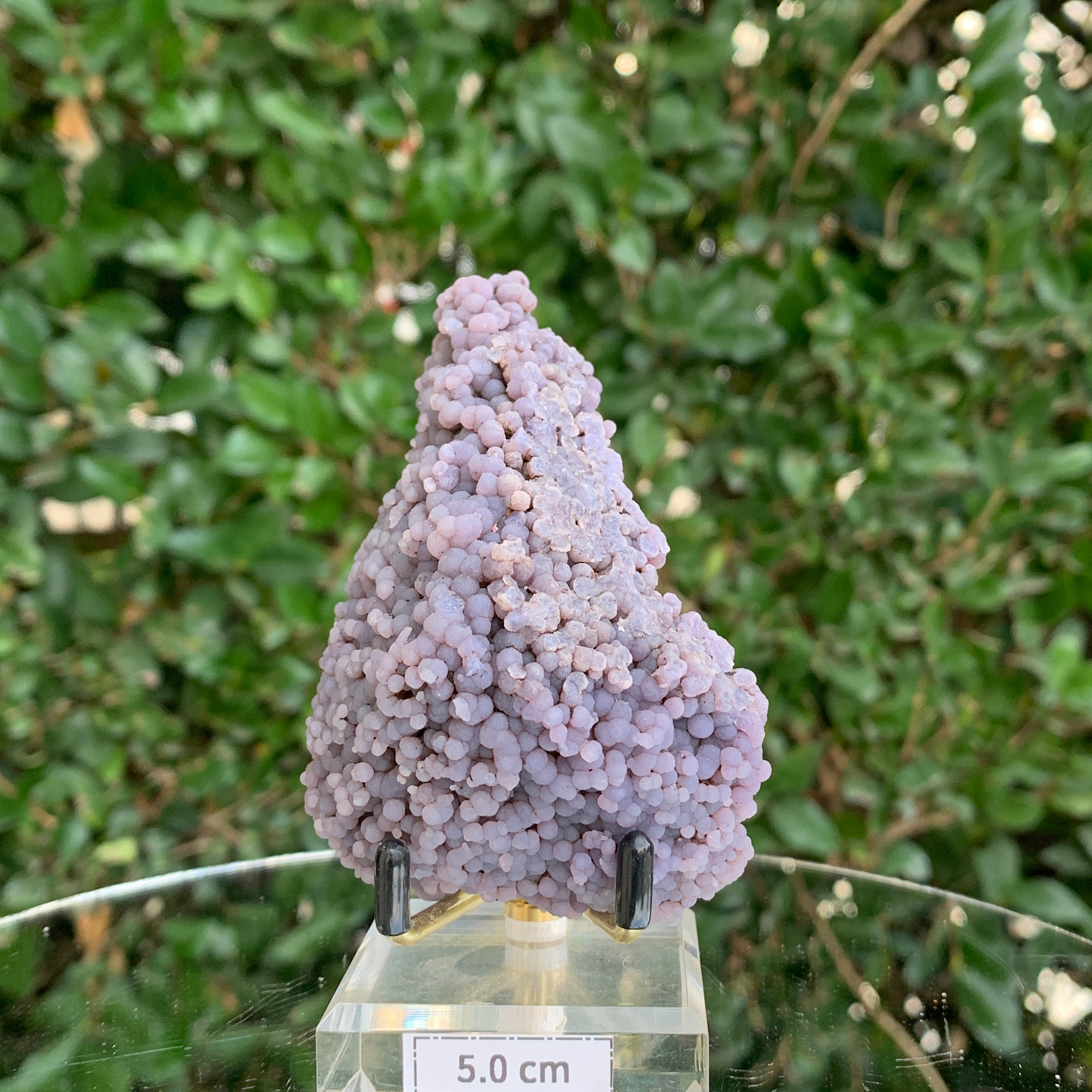 178g 6x5x4cm Purple Grape Agate Chalcedony from Indonesia