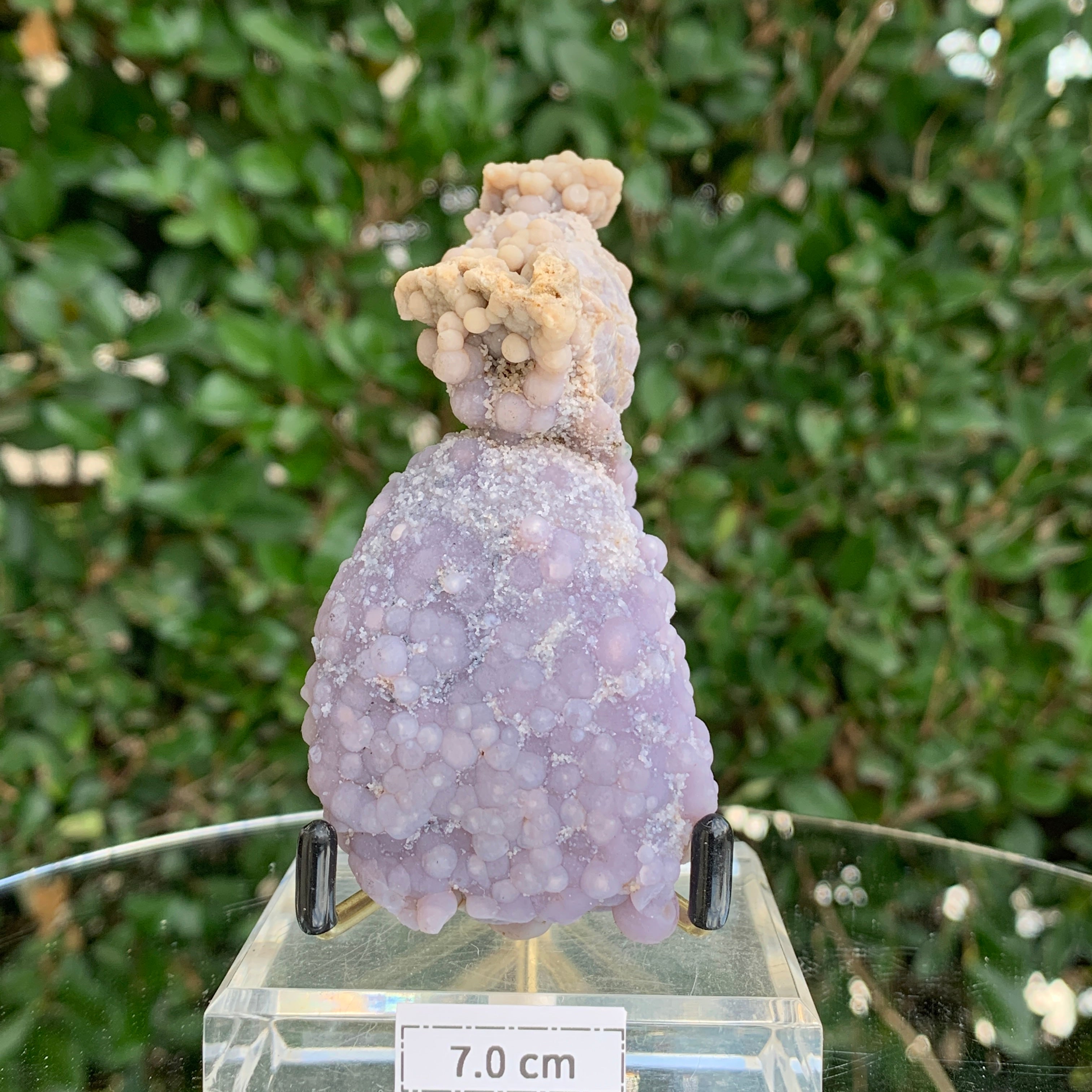185g 5x4.5x4cm Purple Grape Agate Chalcedony from Indonesia