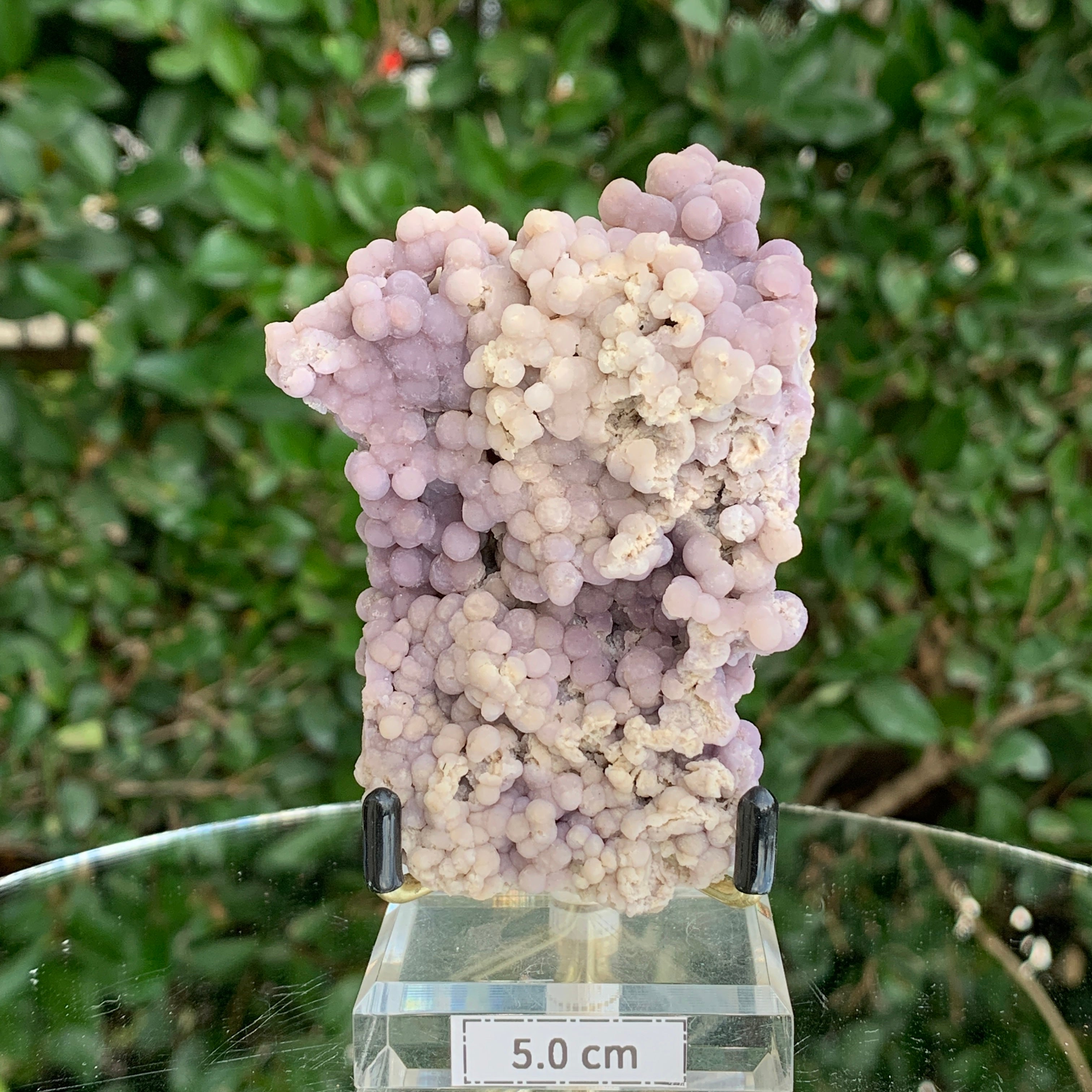 126g 6x5.5x5cm Purple Grape Agate Chalcedony from Indonesia