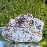106.0g 7x6x3cm Gold Astrophyllite from Russia