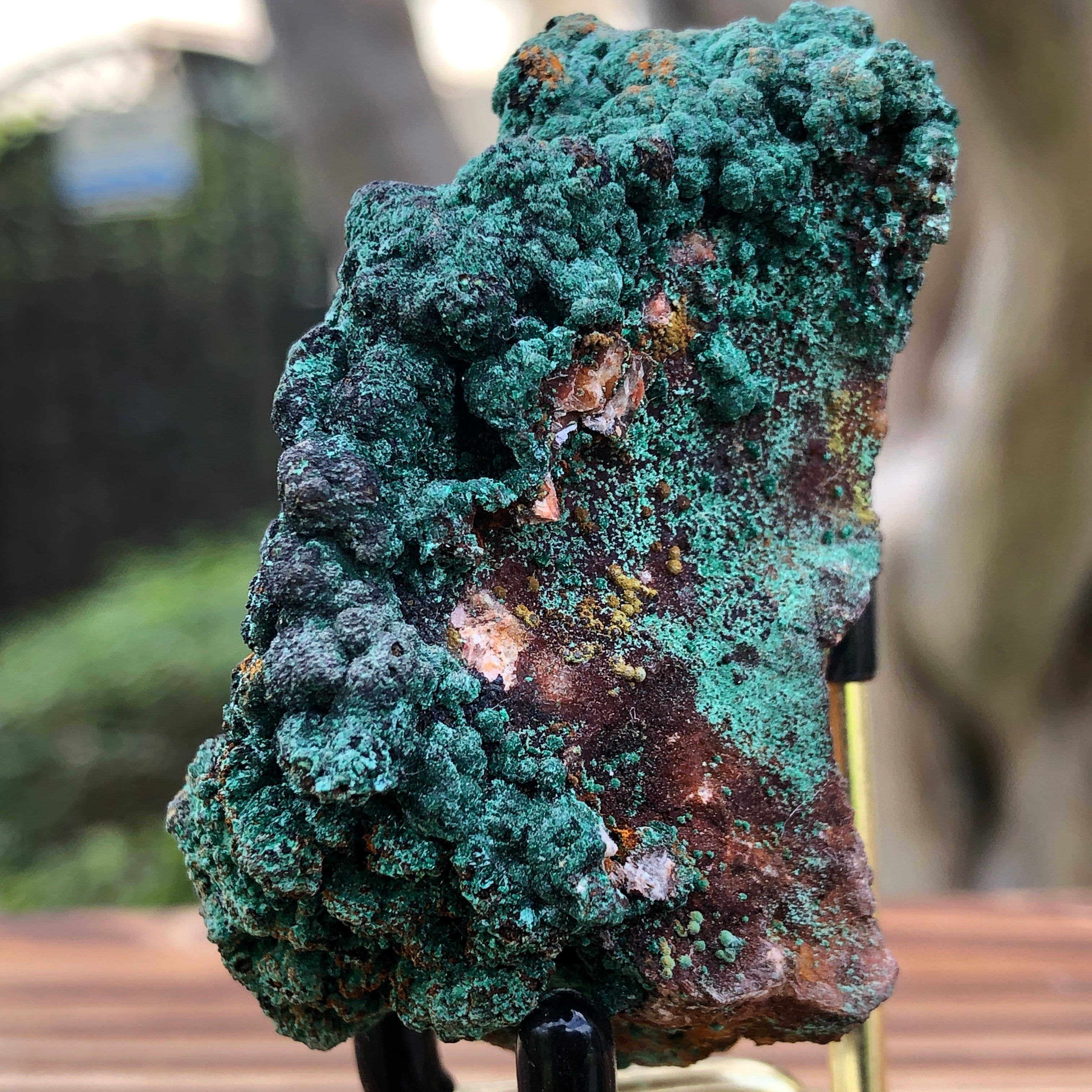 70g 1x1.5x2.5cm Green Malachite from Morocco