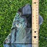 999g 16x16x4cm Rainbow Labradorite Side Polished from Mexico