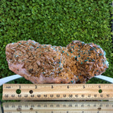 2.235kg 21x11x11cm Brown Rosasite Dolomite Selenite from Morocco