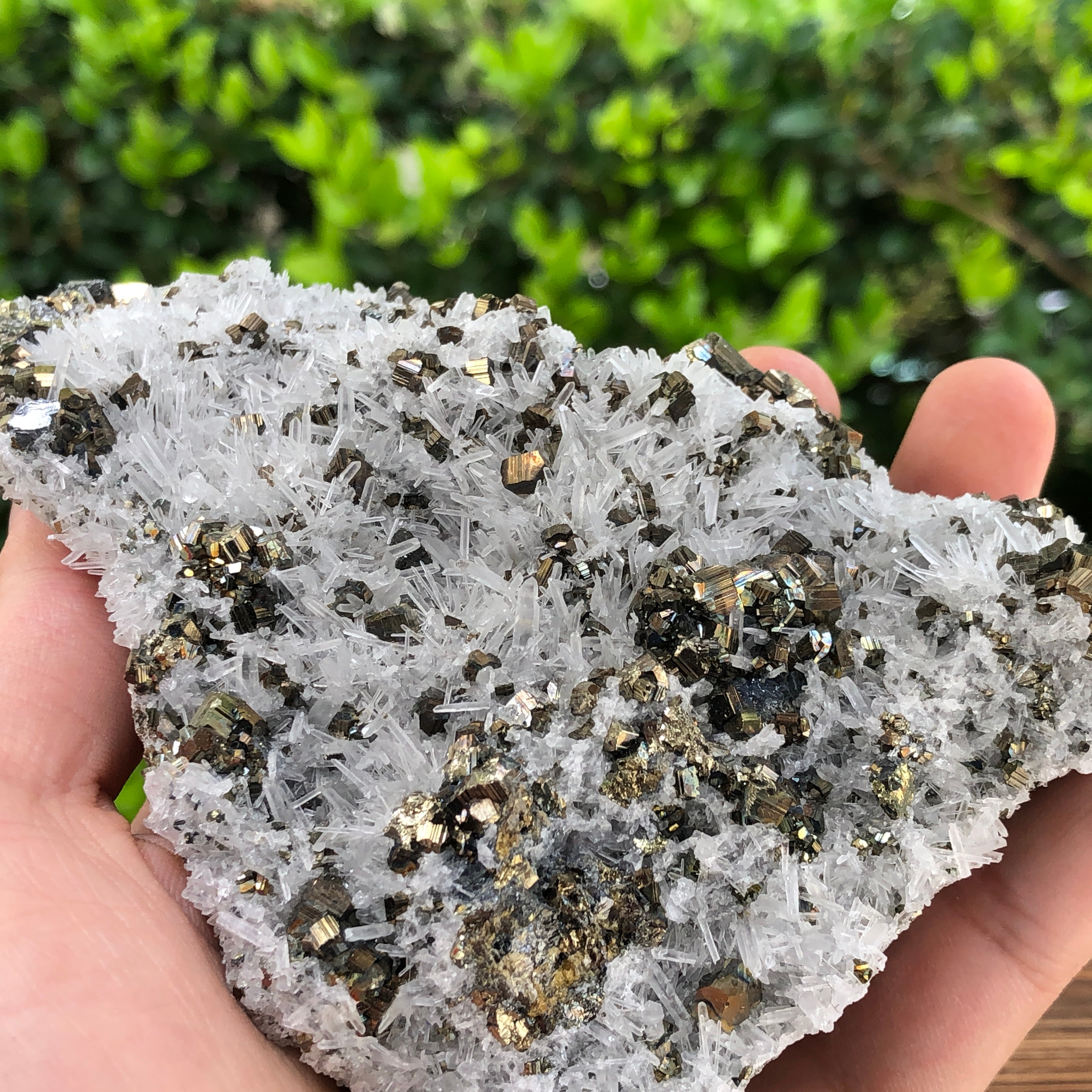 552g 13x9x7cm Gold  Clear Quartz Pyrite with Grey Galena from Huaron, Peru
