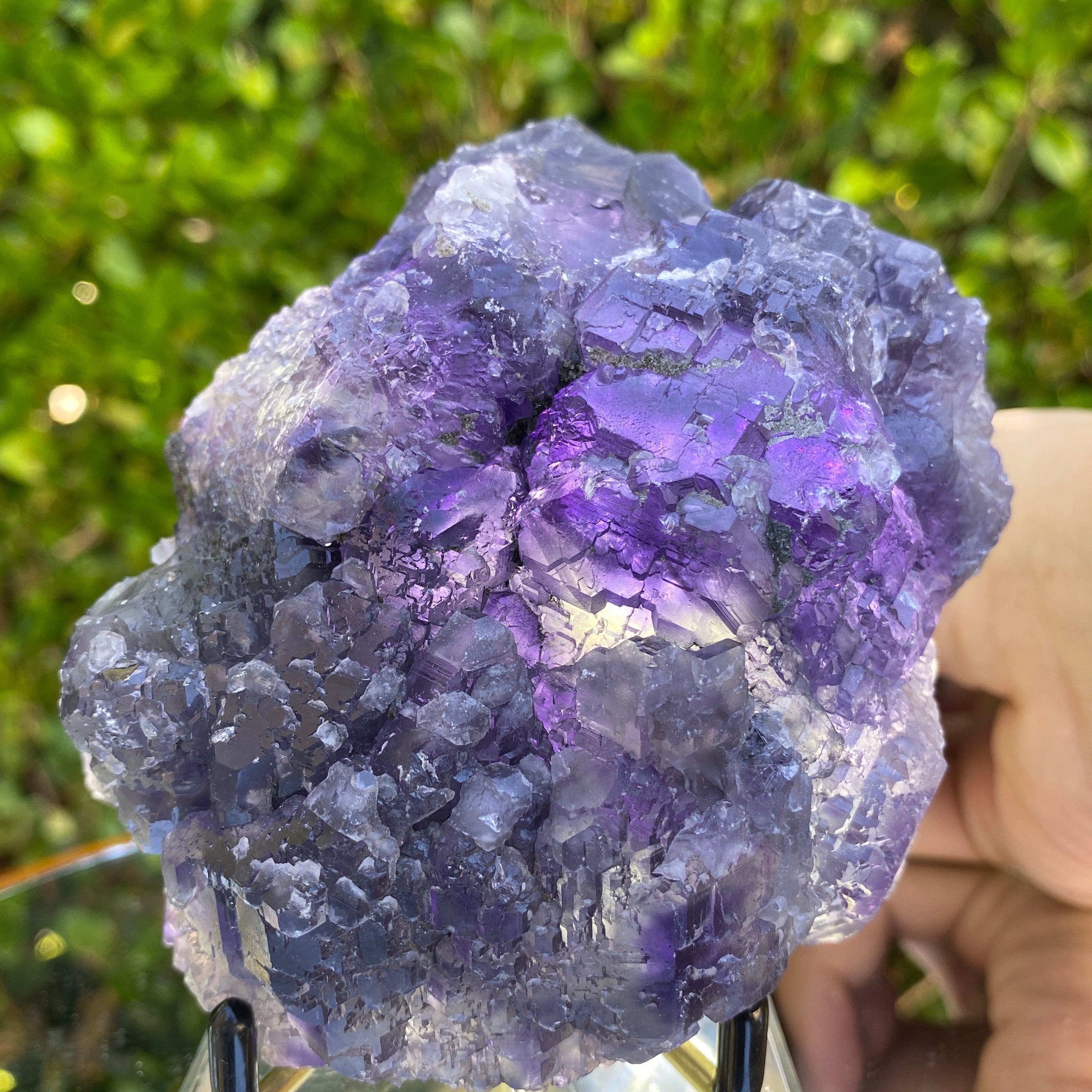 748g 11x9x5cm Purple Tanzanite Fluorite from China