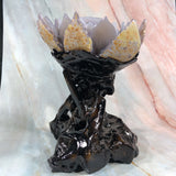 1.25kg 17x15x9cm Amazing Lotus Shape Carving with wood base Purple Agate Geode Lotus from Uruguay - Locco Decor