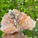 284g 7x6x5cm Orange Scheelite on Silver Muscovite from China