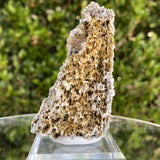 50g 9x5x3cm Orange Scheelite with Silver muscovite from China - Locco Decor