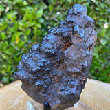 600.0g 12x8x7cm Black Botryoidal Hematite from Morocco