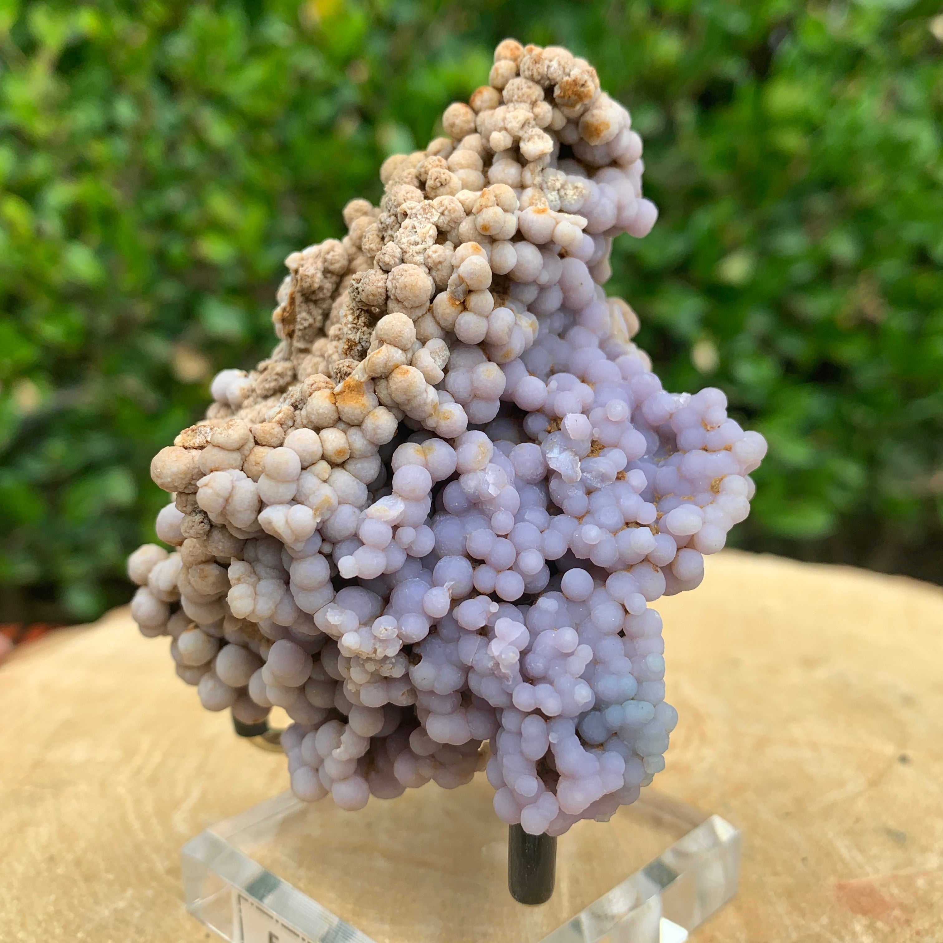 168.0g 8x7x4cm Purple Grape Agate Chalcedony from Indonesia