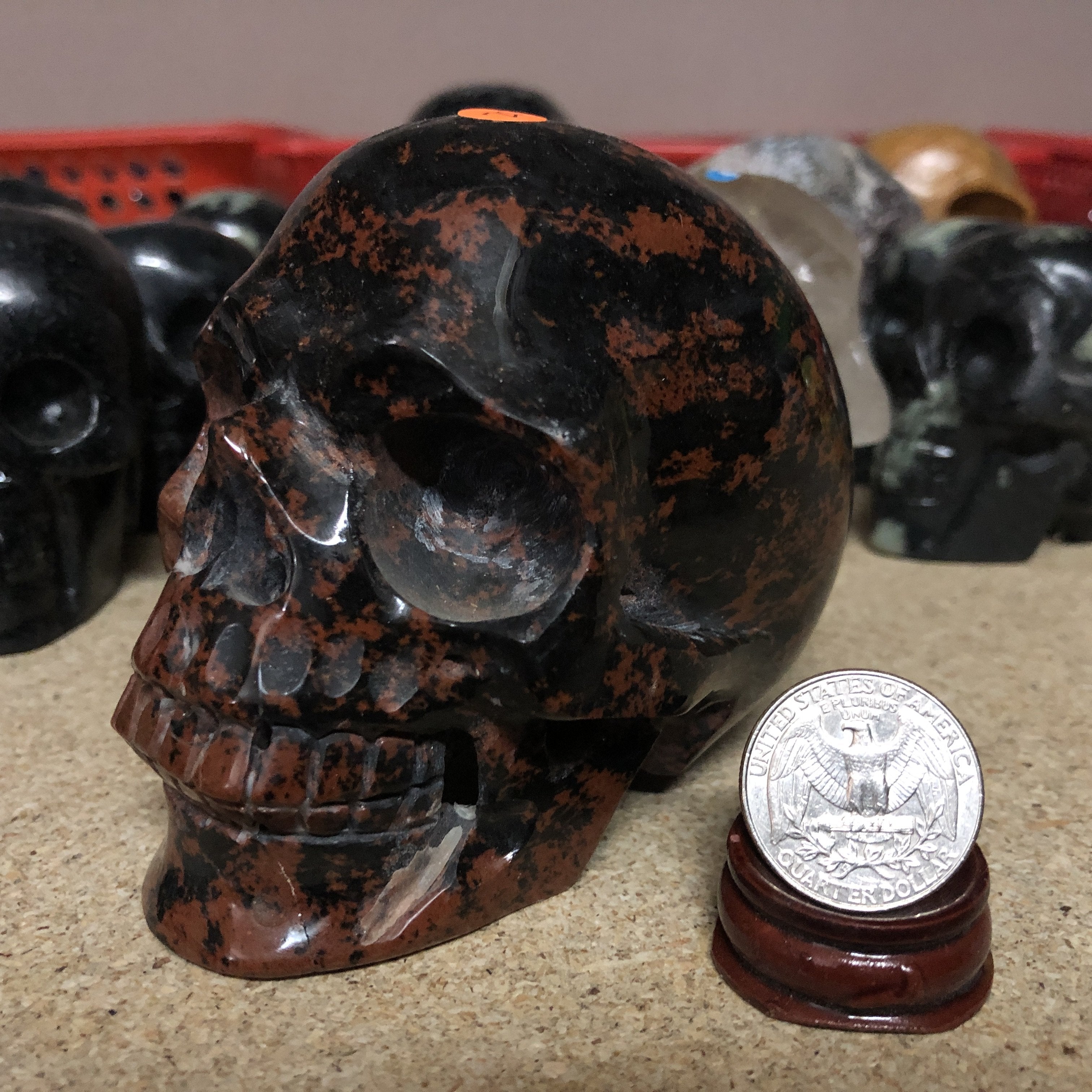 Assorted Skulls - Locco Decor