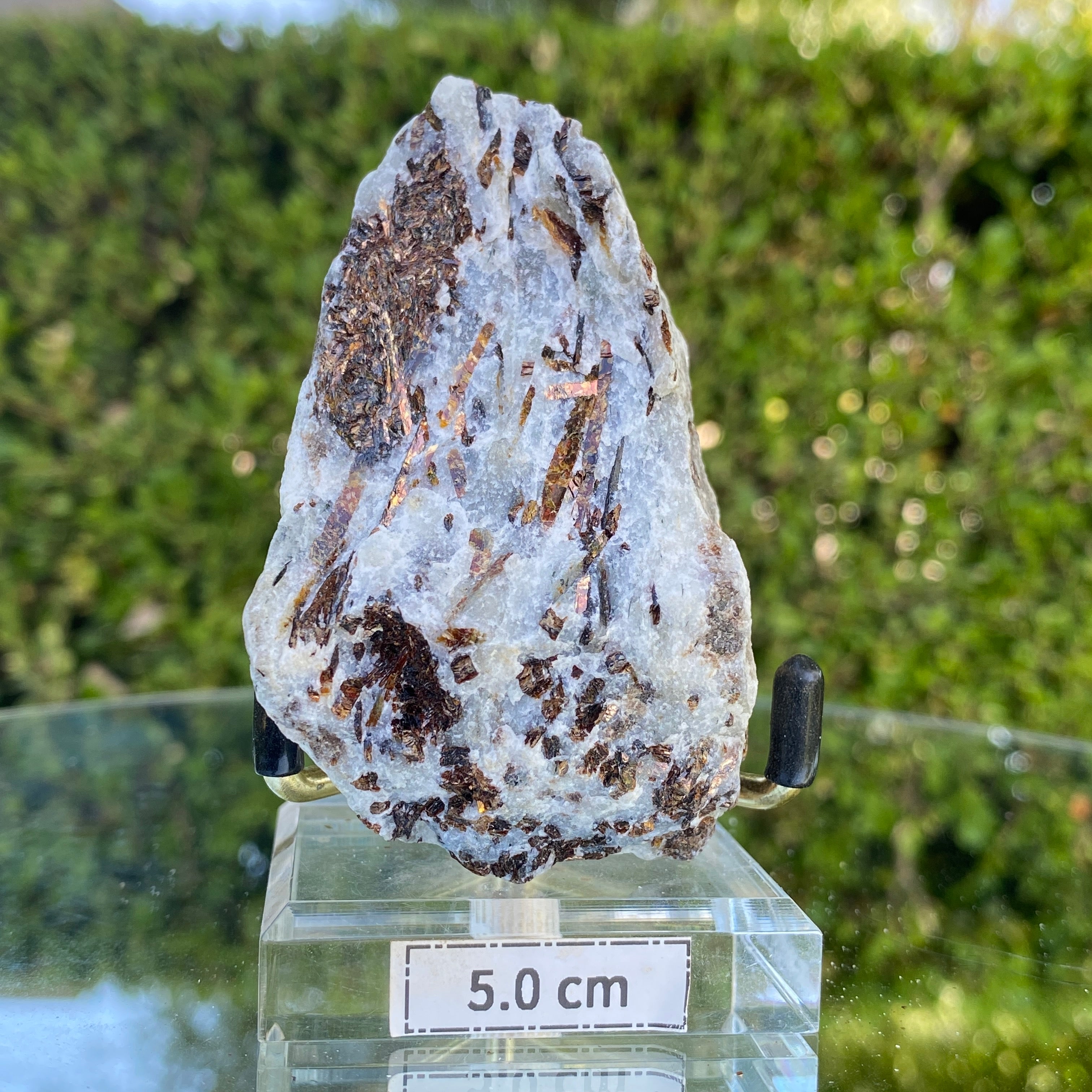 128.0g 8x5x3cm Gold Astrophyllite from Russia