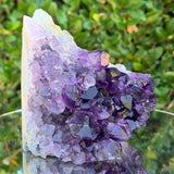 532g 10x10x8cm Purple Amethyst Cluster from Uruguay