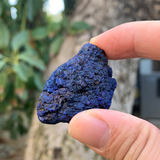 46.7g 5x3x2cm Rare Crystalized Azurite from Laos