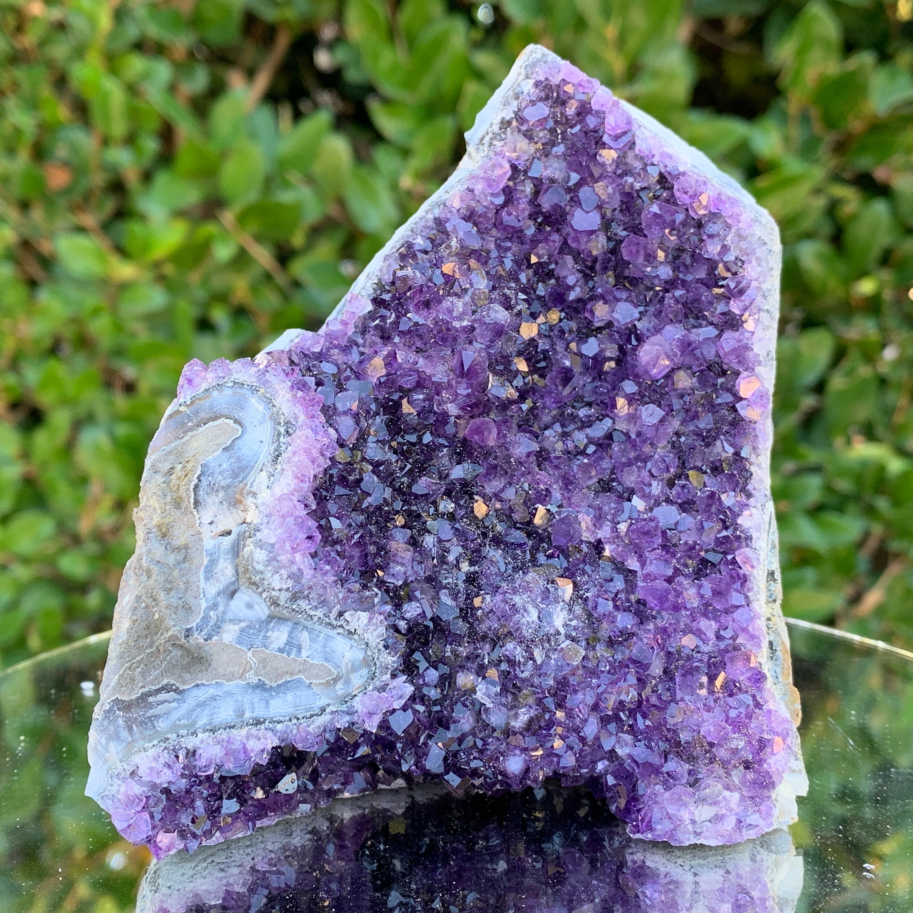 798g 13x12x9cm Purple Amethyst Cluster from Uruguay