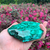 580g 16x11x1cm Green Malachite Slab from Congo