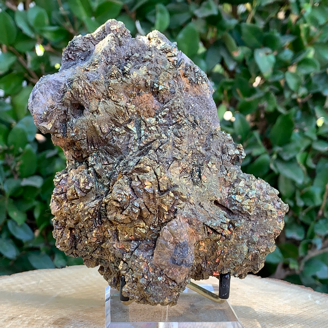760g 13x9x7cm Brown Siderite from China