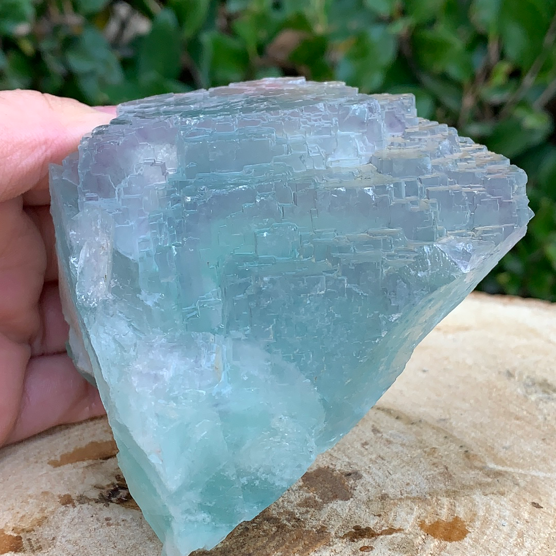 576g 10x9x6cm Green Fluorite from China