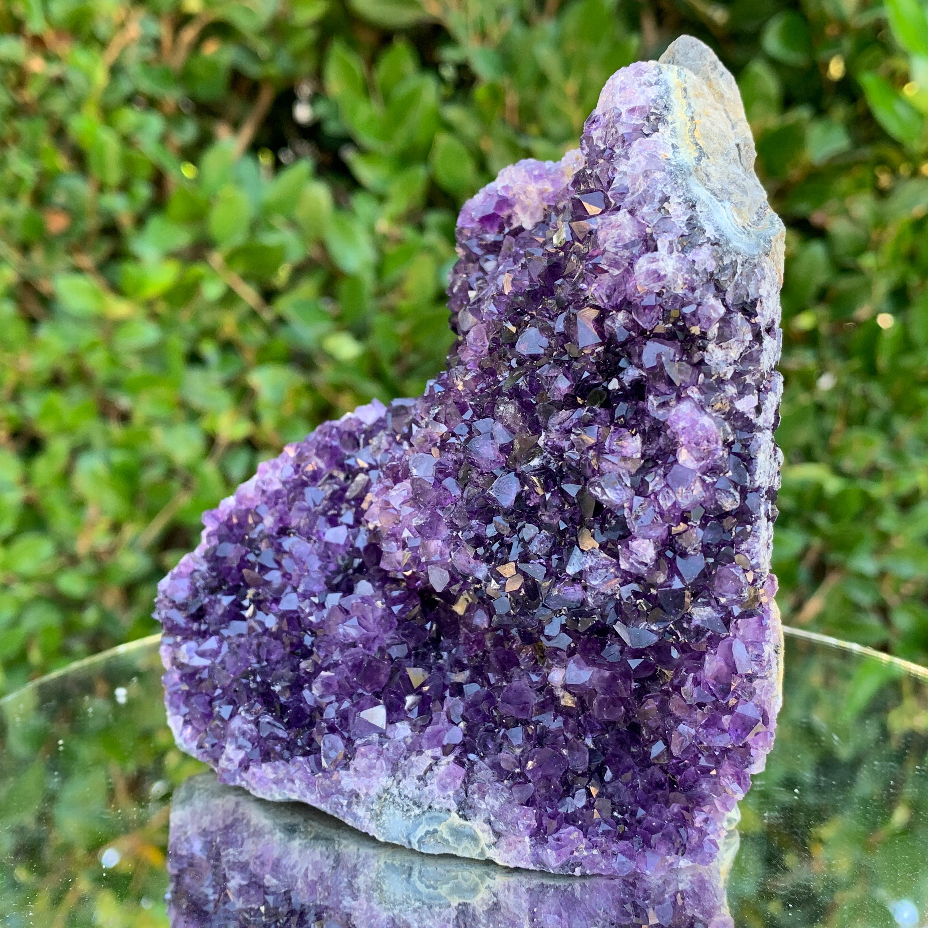 742g 12x11x9cm Purple Amethyst Cluster from Uruguay